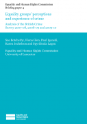 Briefing paper 4: Equality groups; perceptions and experience of crime