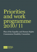 Disability Committee Work plan 2010 11
