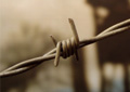 Image of barbed wire